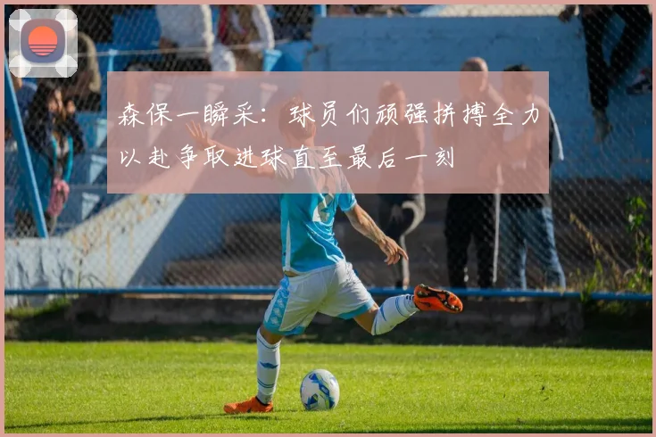 森保一瞬采：球员们顽强拼搏全力以赴争取进球直至最后一刻